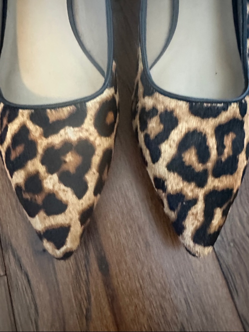 Franco Sarto Leopard-Print Pointed Toe Flats in Brown and Black - Picture 2 of 8